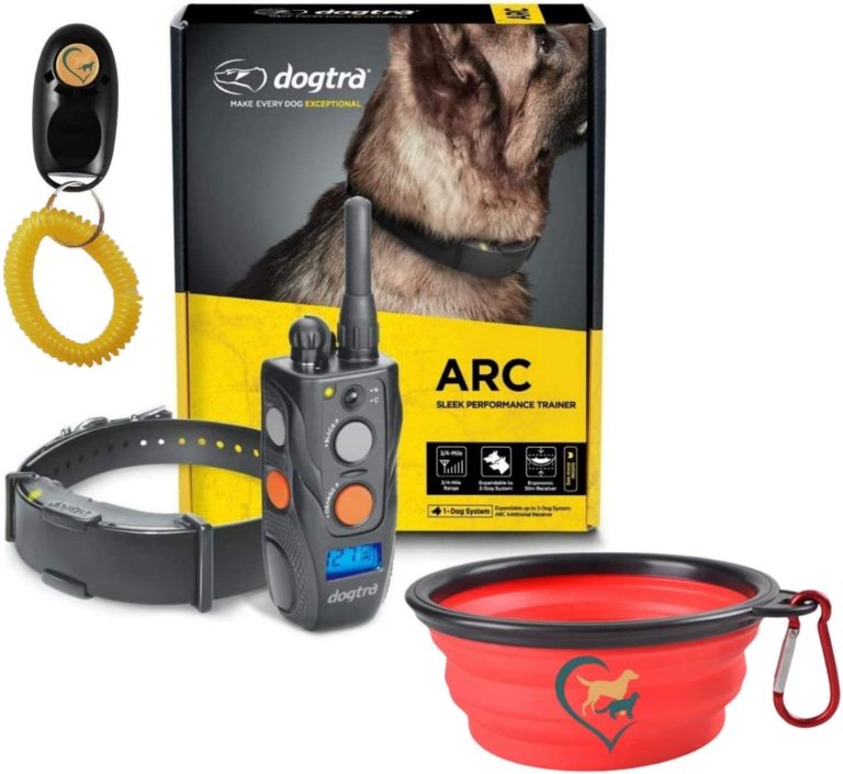 Dogtra Fieldmaster 1-Dog LCD Training System