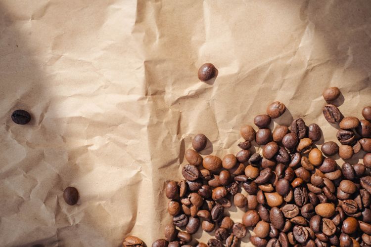 פולי קפה מומלצים – 5 פולי הקפה הטובים ביותר לשנת 2023