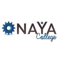 קורס דאטה אנליסט של NAYA COLLEGE