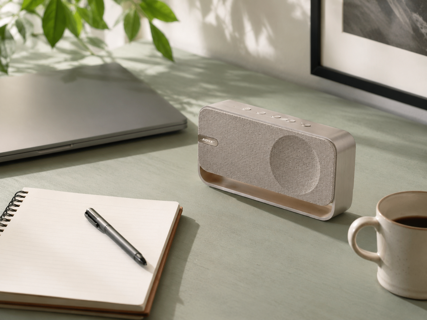 Bose SoundLink Home